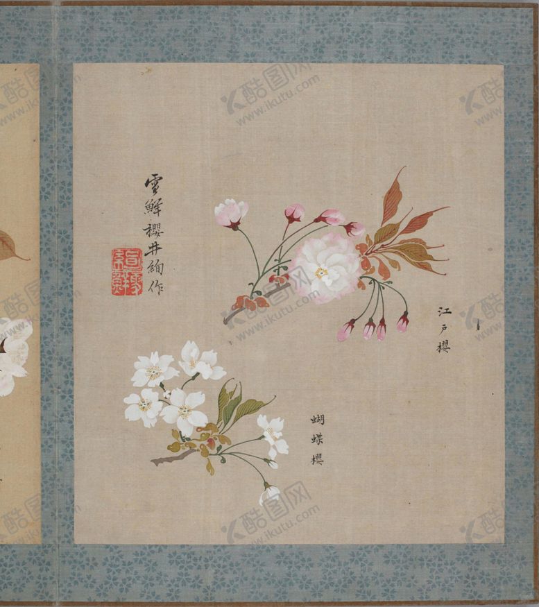 编号：16062704211041112598【酷图网】源文件下载-樱花