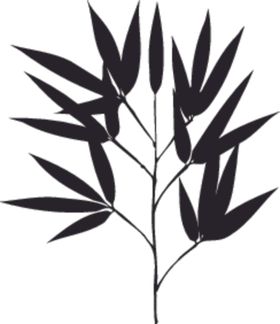 装饰植物竹叶