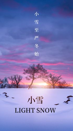 小雪海报  大雪 冬季 雪景 