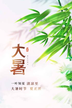 大暑传统节气活动海报素材