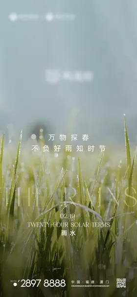 雨水