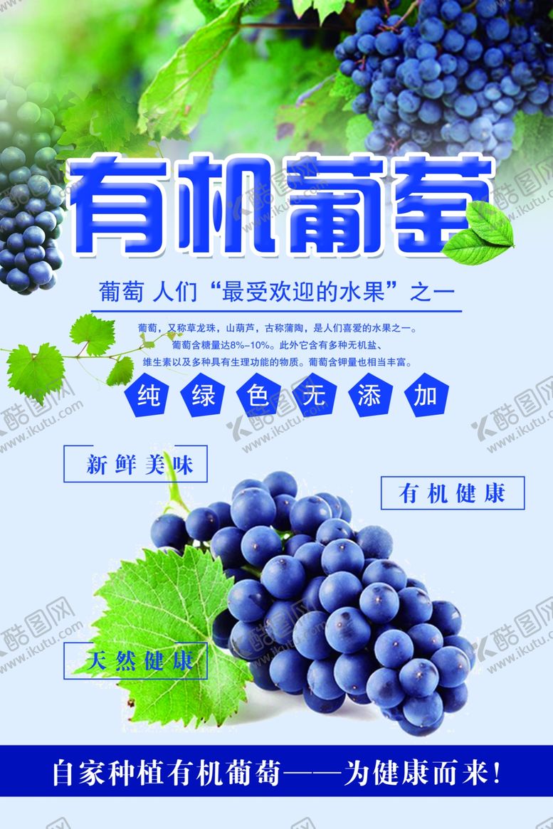 编号：76711411020920109528【酷图网】源文件下载-有机葡萄宣传海报