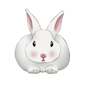 手绘兔子