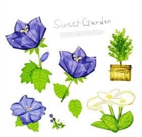水彩手绘花朵瓣浪漫温馨清新卉浪漫唯美