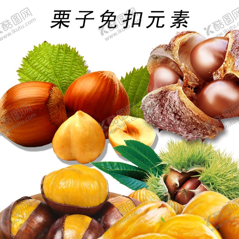 编号：43946209110205323053【酷图网】源文件下载-栗子免扣素材