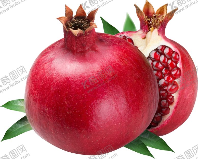 编号：92800110291842532477【酷图网】源文件下载-石榴
