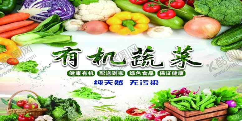 编号：79940007031148232393【酷图网】源文件下载-有机蔬菜展板