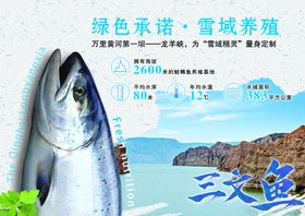 三文鱼水库