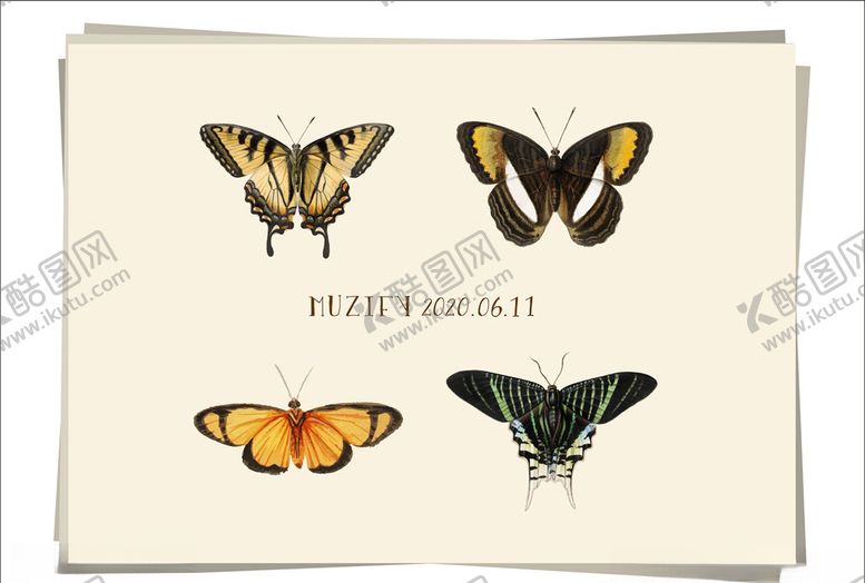 编号：58419211012010232788【酷图网】源文件下载-4款入蝴蝶昆虫图鉴