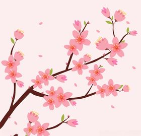 樱花
