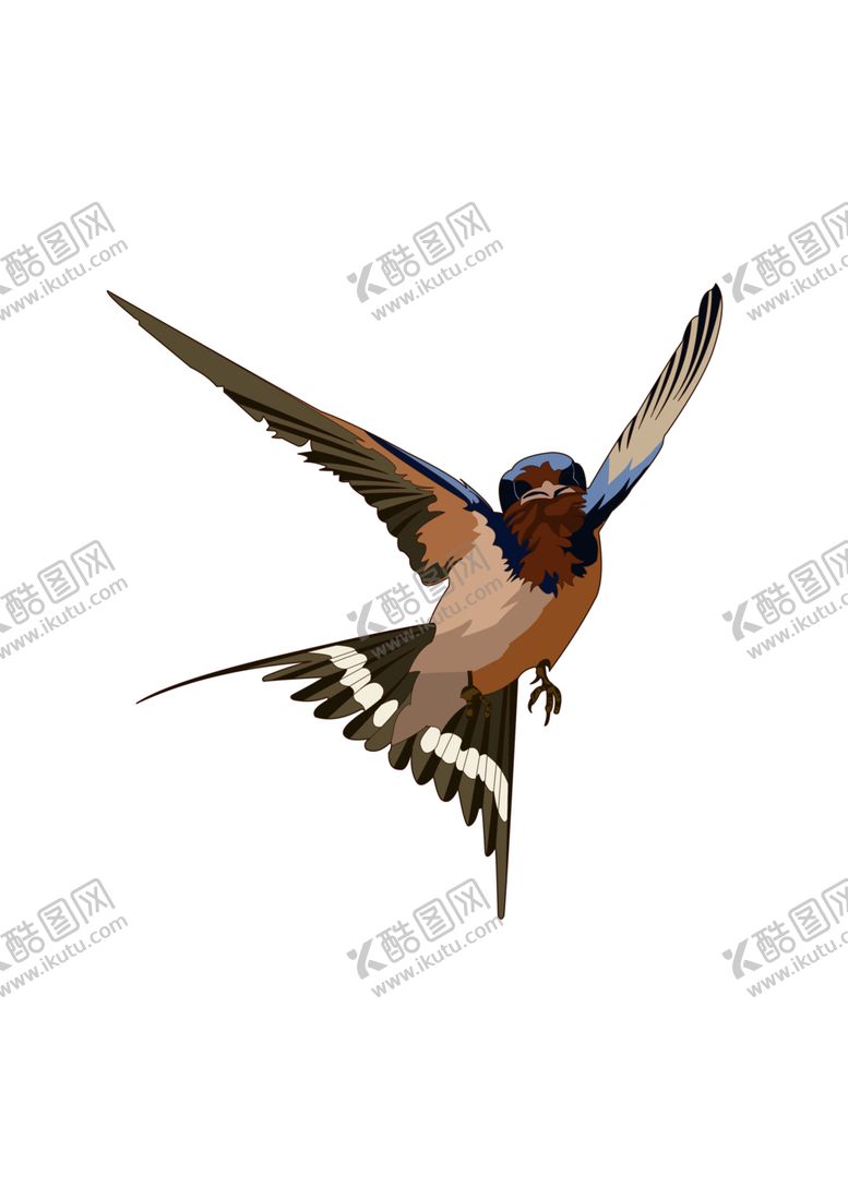 编号：77634910291437136463【酷图网】源文件下载-燕子素材