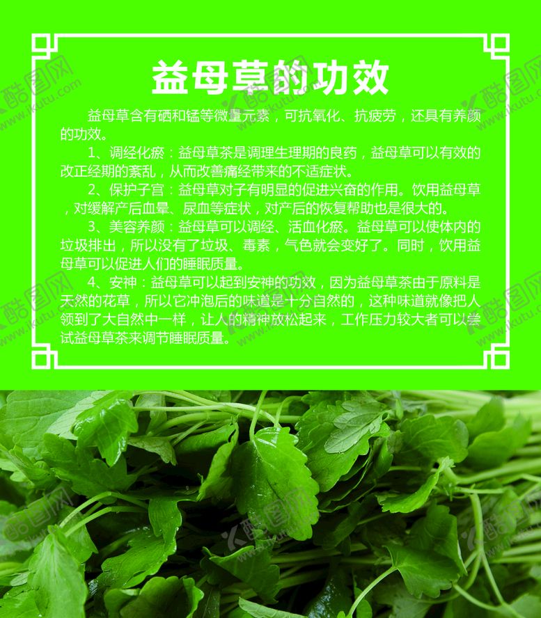 编号：29105409282056450583【酷图网】源文件下载-益母草的功效