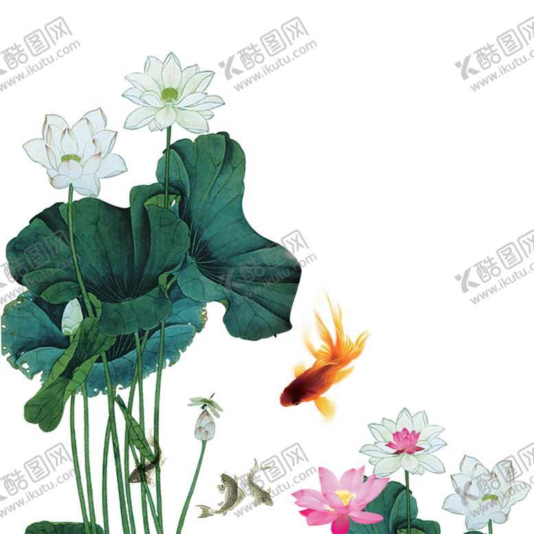 编号：40988305102022539511【酷图网】源文件下载-水墨荷花粉色荷花荷花意境