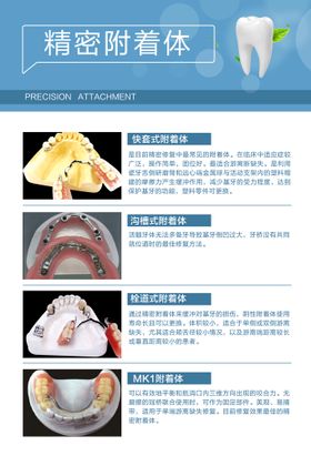 精密附着体