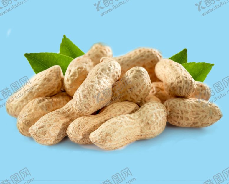 编号：39887410091722027232【酷图网】源文件下载-新鲜的花生