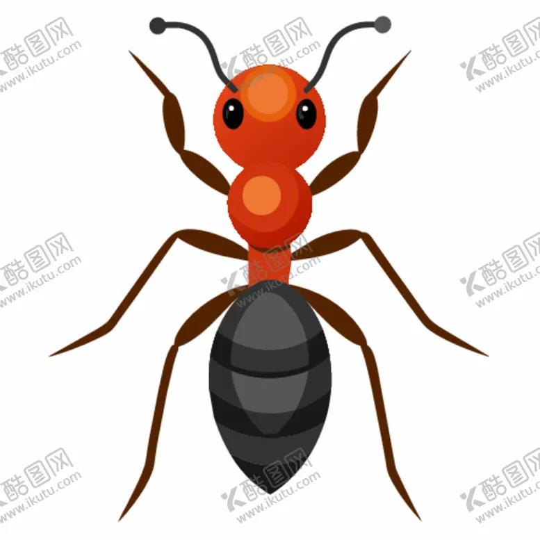 编号：98610312202041065643【酷图网】源文件下载-矢量蚂蚁插图