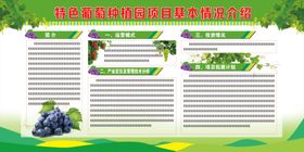 乡村振兴葡萄