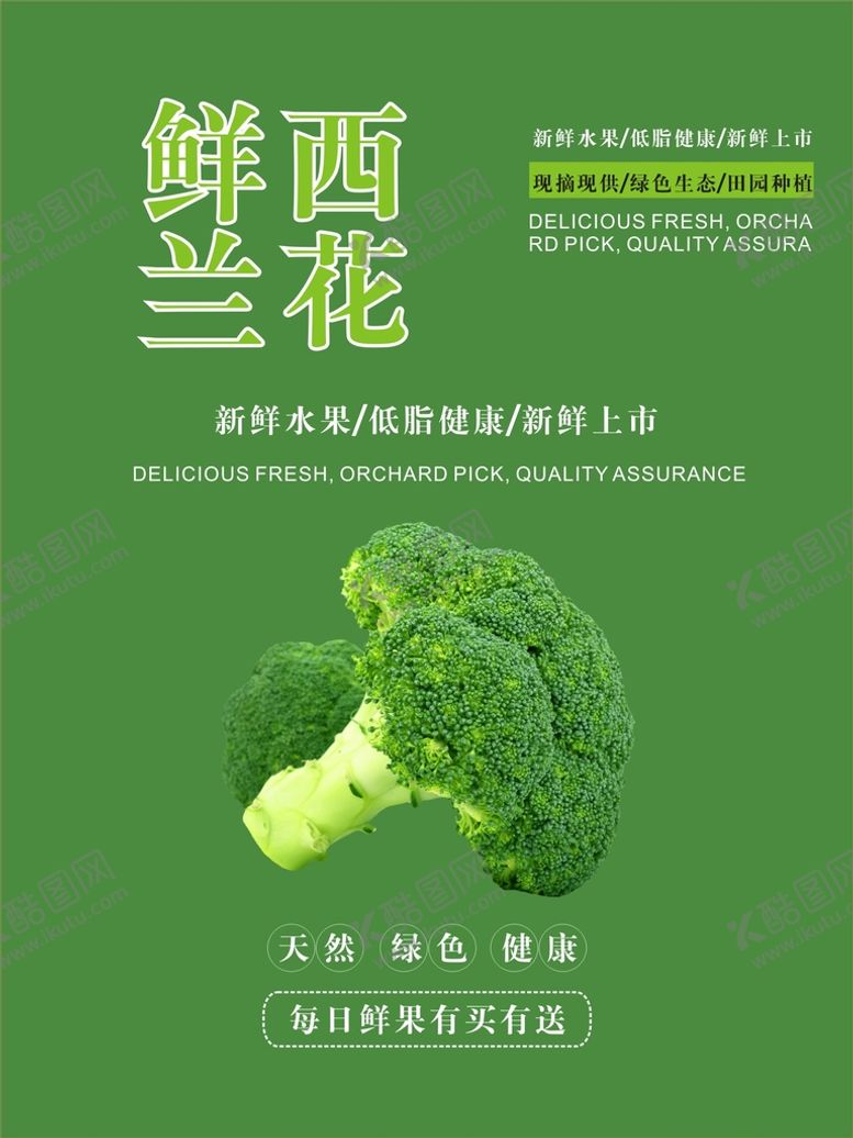 编号：56473701121351468478【酷图网】源文件下载-西兰花海报