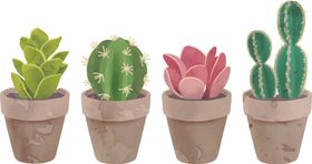 盆栽植物摆件