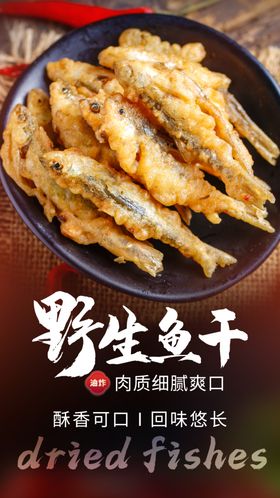 野生鱼干美食活动海报素材