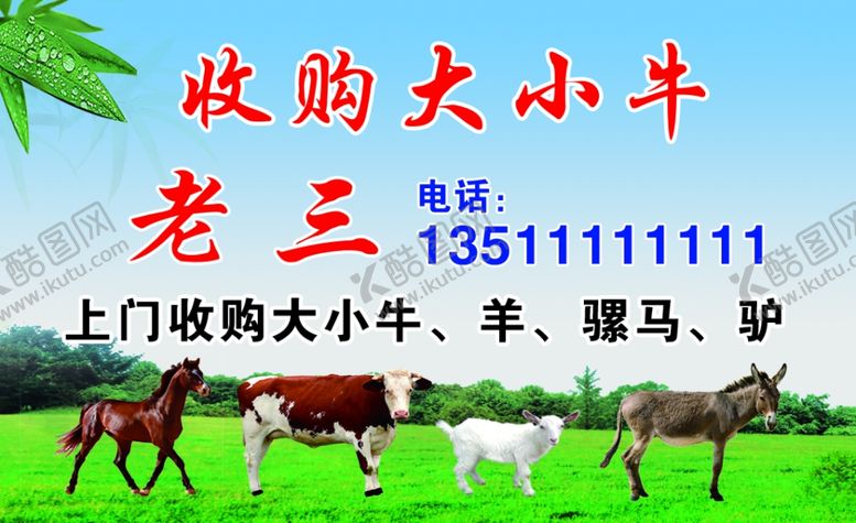 编号：50833102132258224814【酷图网】源文件下载-收购牛名片
