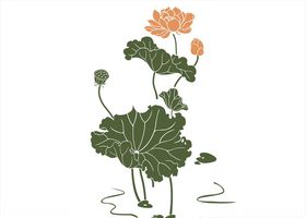 荷花莲花