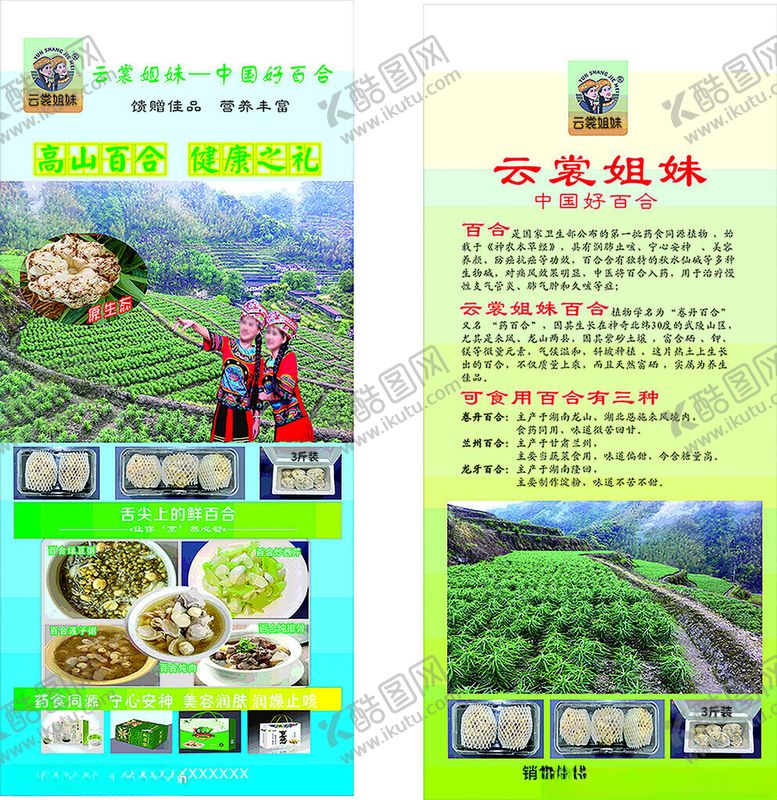 编号：32282804082022394634【酷图网】源文件下载-百合云雾绿茶宣传页展示