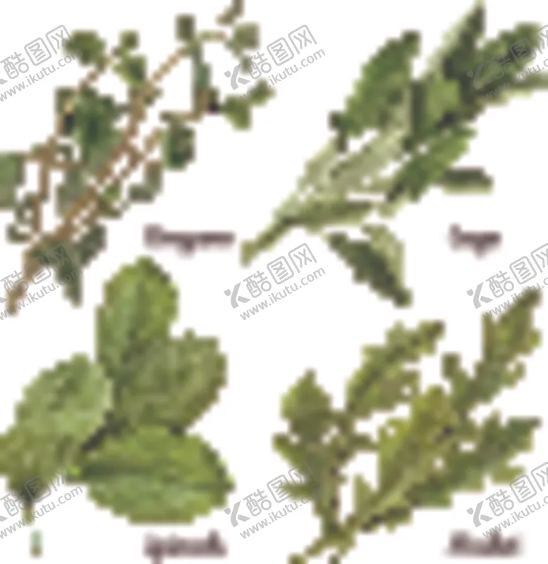 编号：17273906301244261686【酷图网】源文件下载-蔬菜