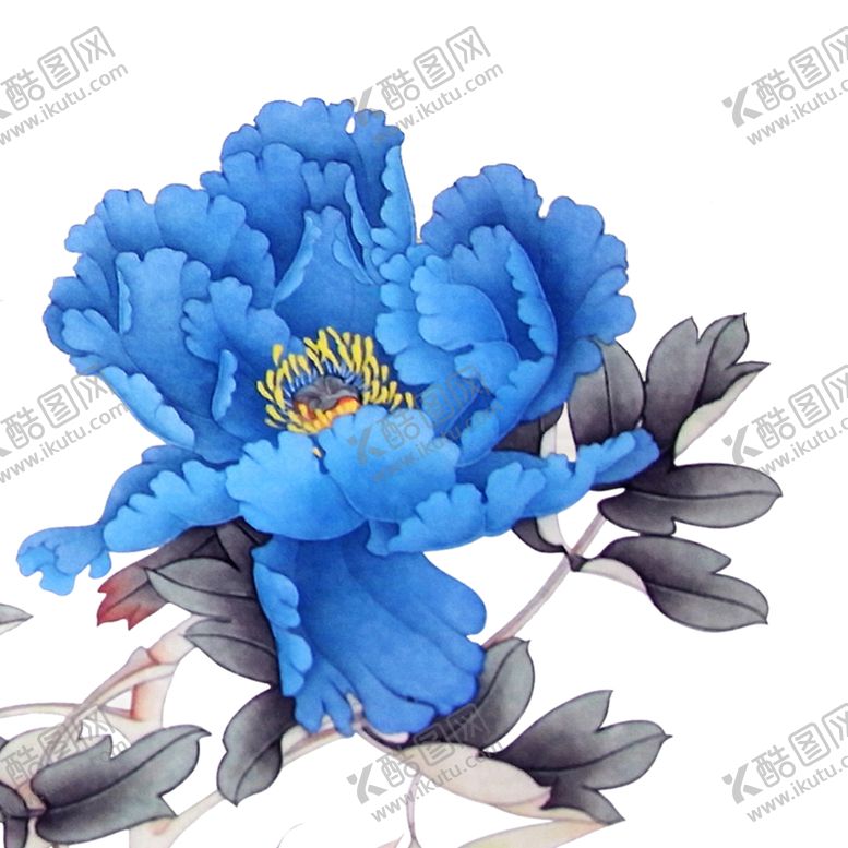 编号：33378506260652173811【酷图网】源文件下载-牡丹花