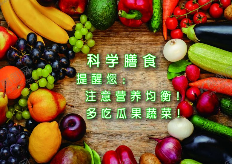 编号：20939205101329481010【酷图网】源文件下载-科学膳食