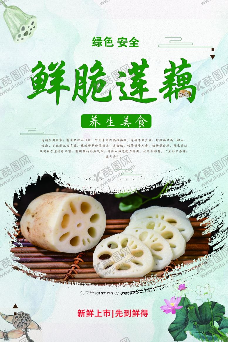 编号：69722709230646083479【酷图网】源文件下载-莲藕