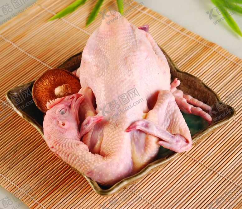 编号：90364609192230053081【酷图网】源文件下载-童子鸡