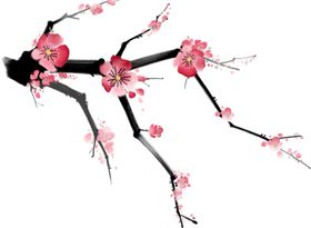中国风水墨梅