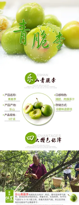 青脆李详情图