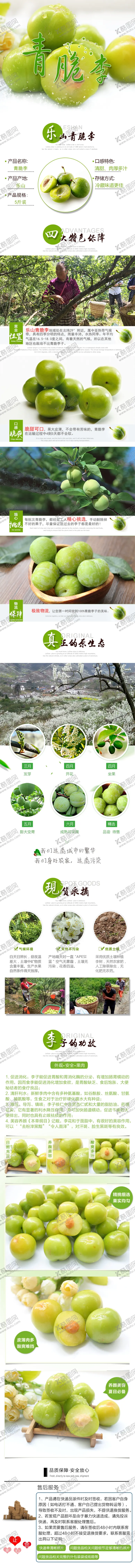 编号：48532905110255427249【酷图网】源文件下载-青脆李详情图