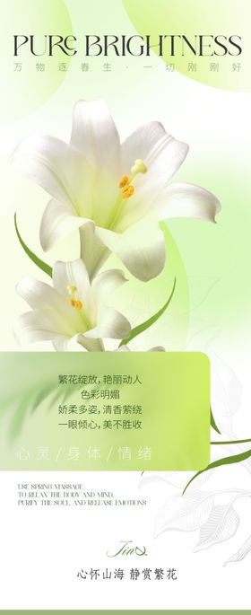 疗愈文化