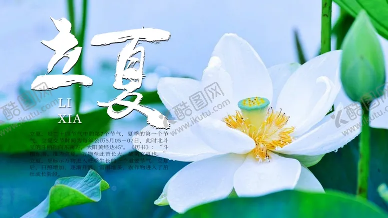 编号：24784407012206577302【酷图网】源文件下载-立夏书法海报