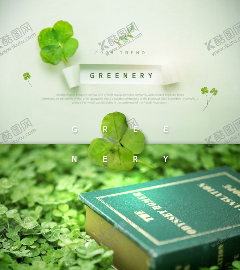编号：58320109251303344540【酷图网】源文件下载-春夏绿色叶子海报