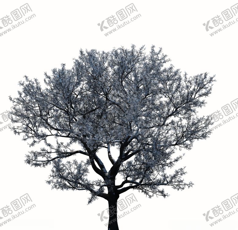 编号：28823709110337391053【酷图网】源文件下载-树木