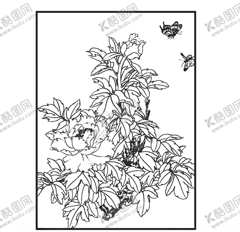 编号：87427506270151154979【酷图网】源文件下载-牡丹