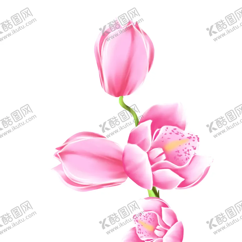 编号：39175802091731396200【酷图网】源文件下载-立春植物粉色花朵春天桃花