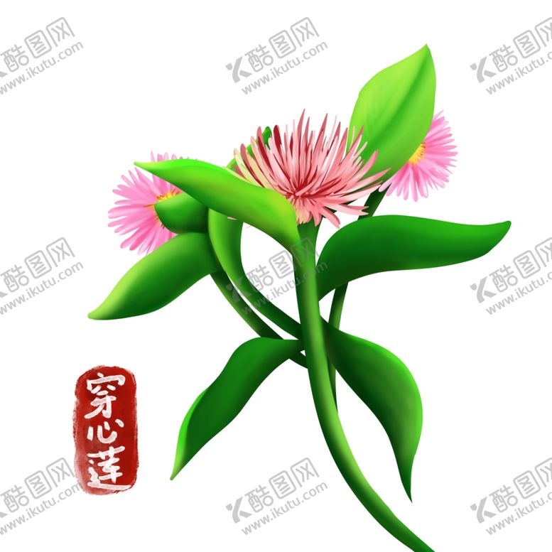 编号：68787102070139506167【酷图网】源文件下载-卡通穿心莲