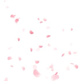 粉色中国风漂浮花瓣