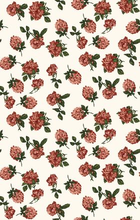 大牌玫瑰花卉无缝图案