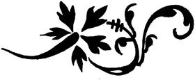 花纹边框