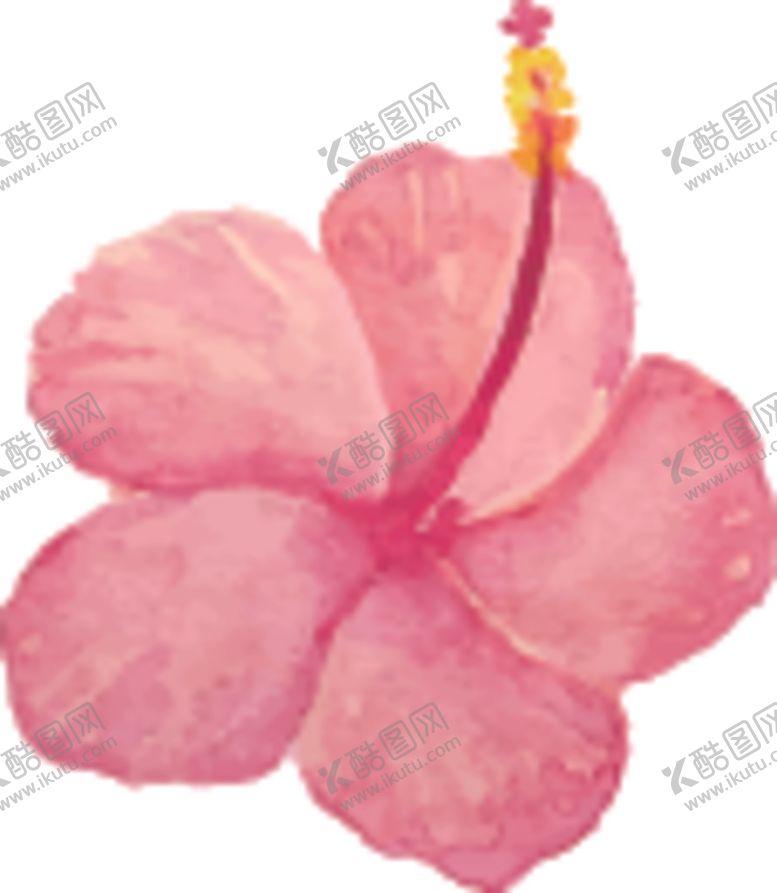 编号：69804105081949193617【酷图网】源文件下载-花朵