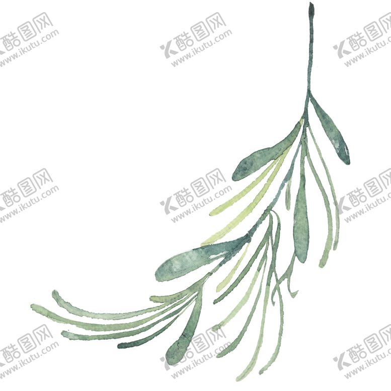 编号：12306909252036296662【酷图网】源文件下载-小清新水彩植物树枝