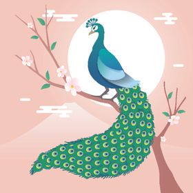 孔雀