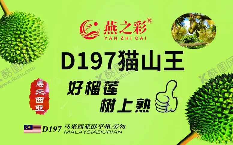 编号：45901102122134465435【酷图网】源文件下载-猫山王榴莲海报