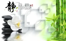 竹子风景